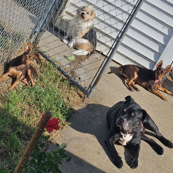 !! GIFTS !! RANDOMNESS GIFTs MARCH2026 - Picture 5 of 15